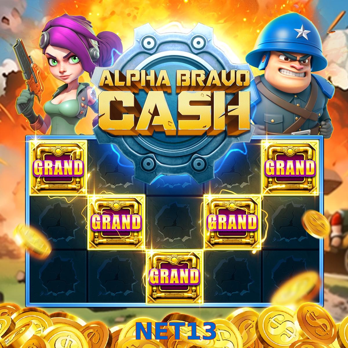 NET13