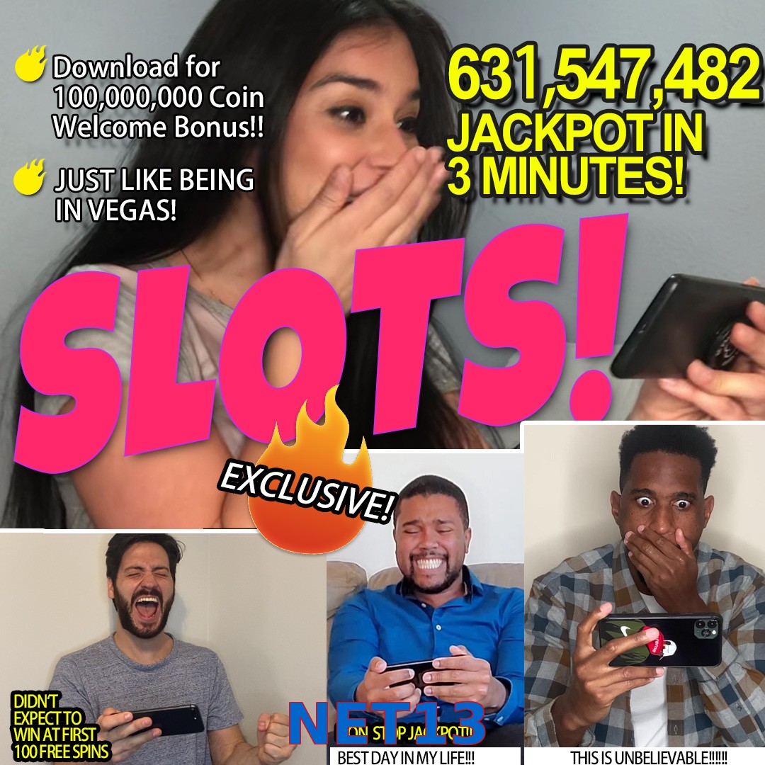 NET13
