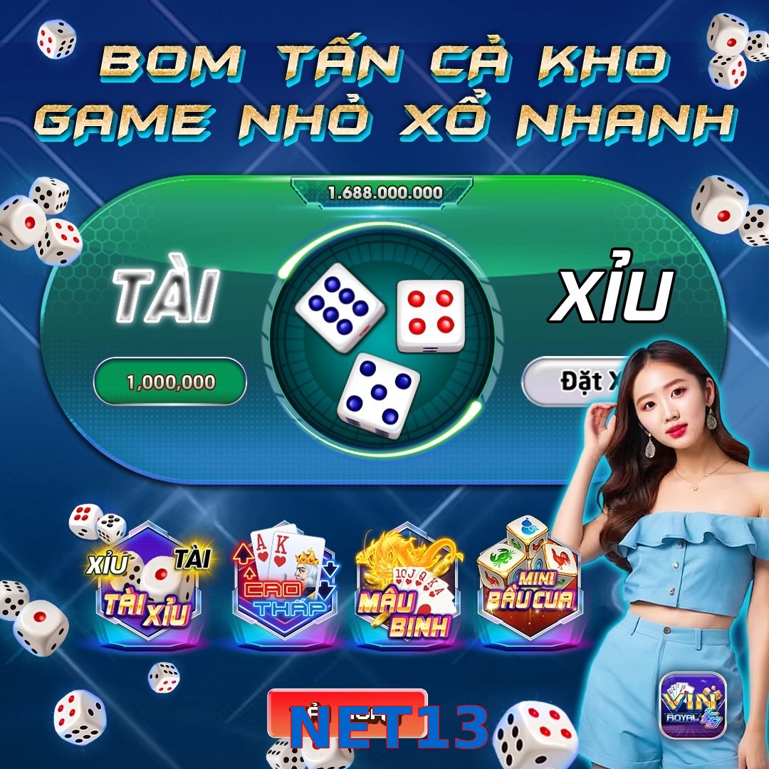 NET13