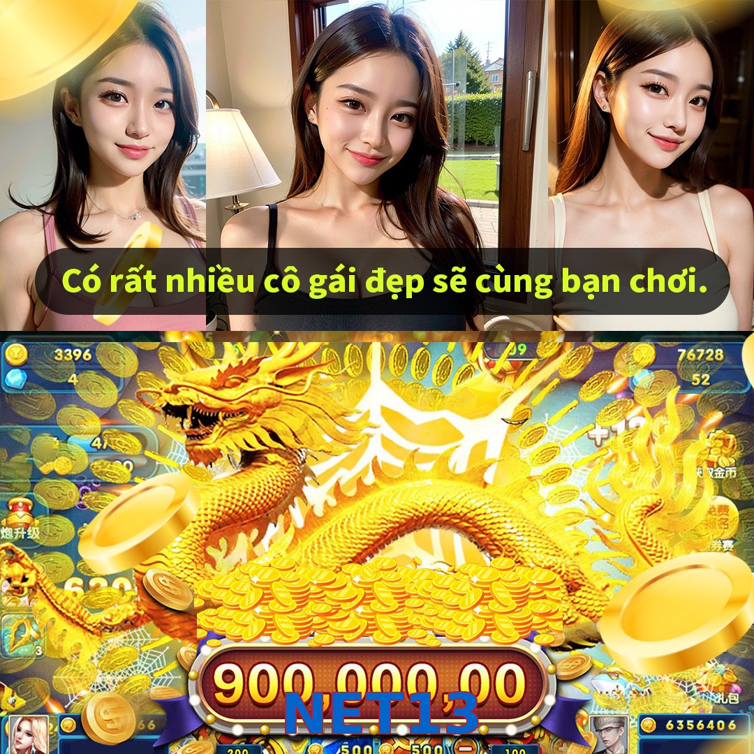 NET13