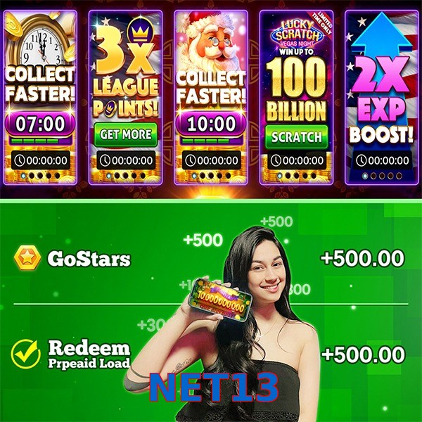 NET13