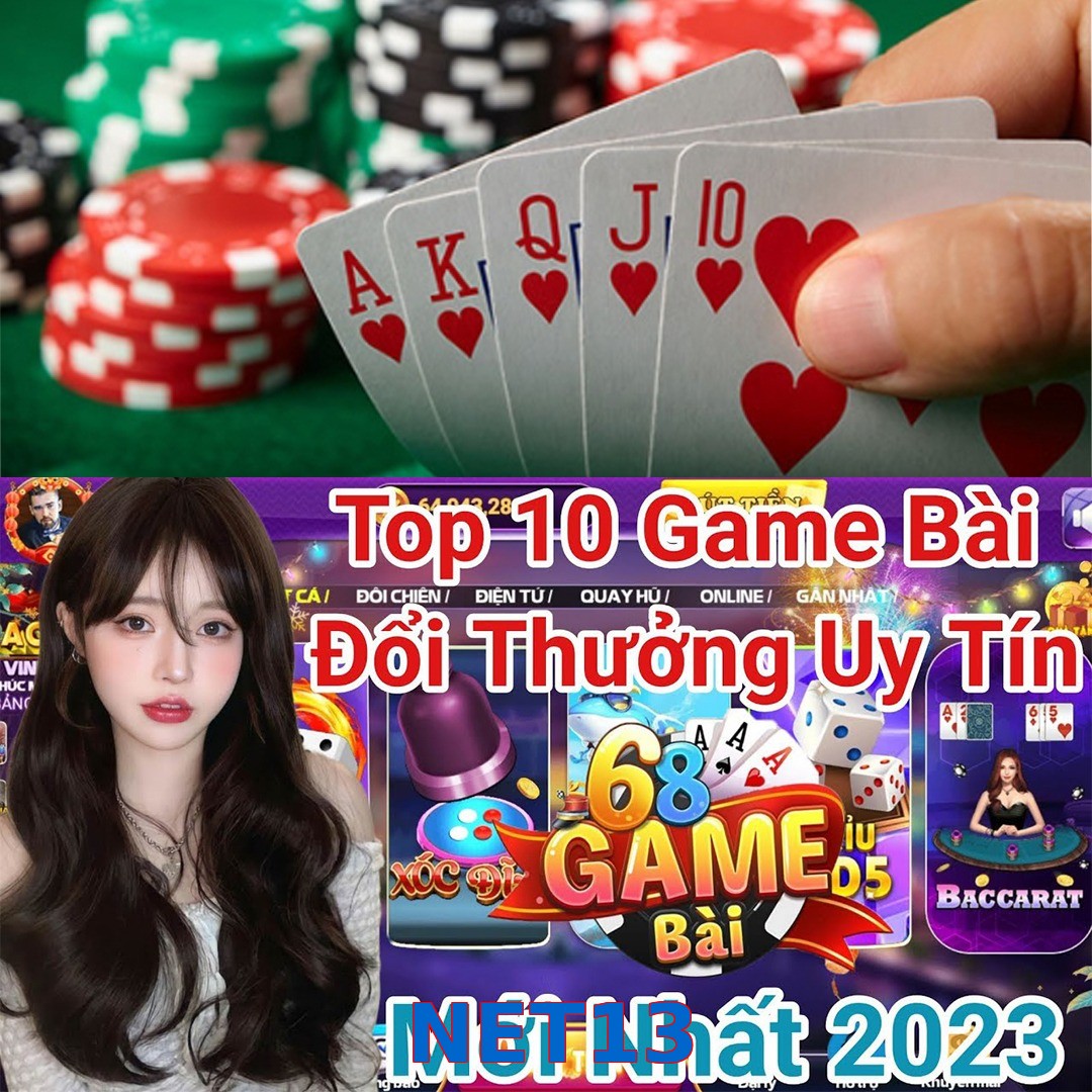 NET13