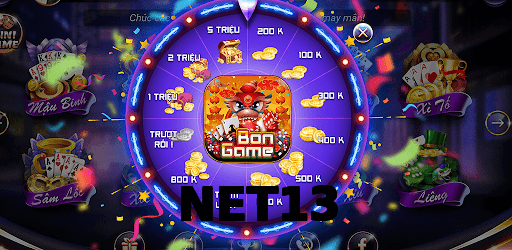 NET13