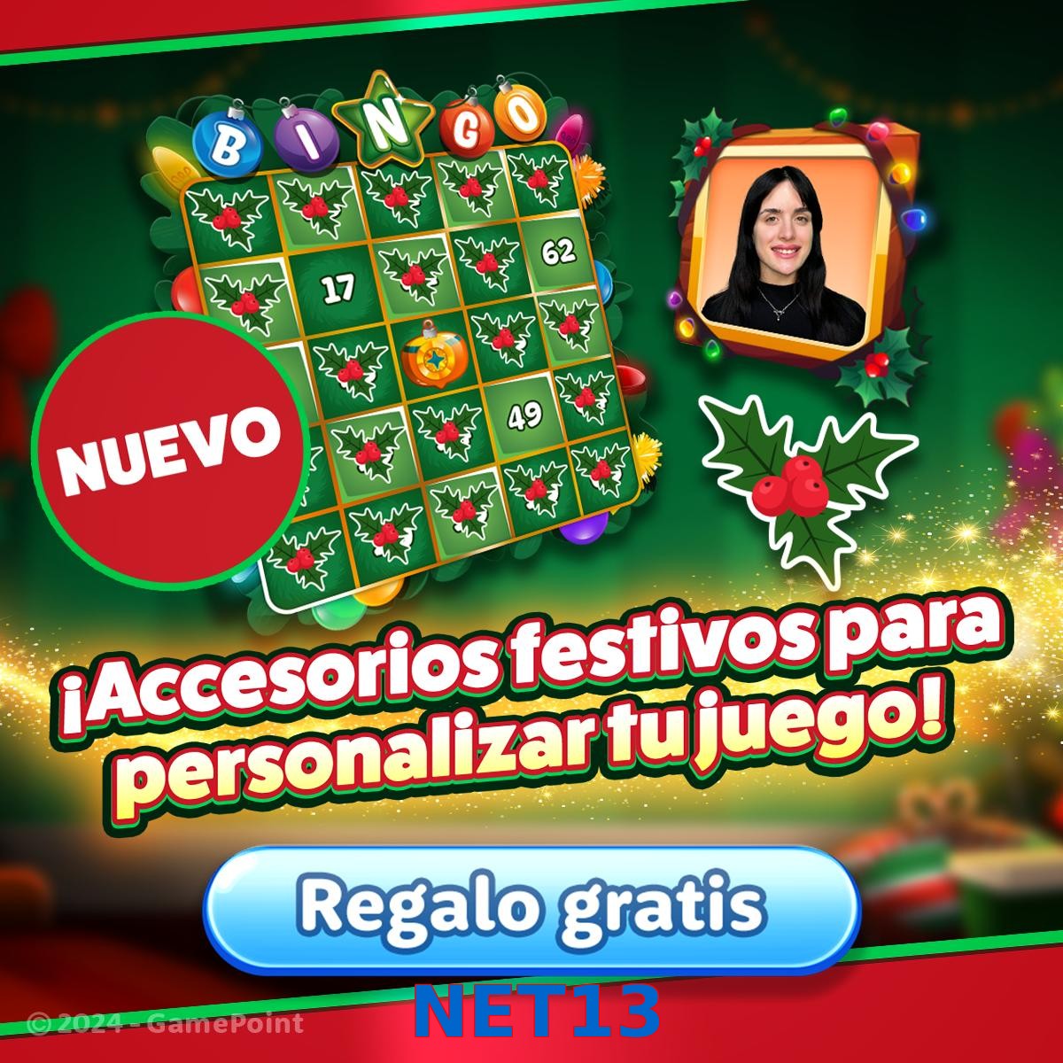NET13