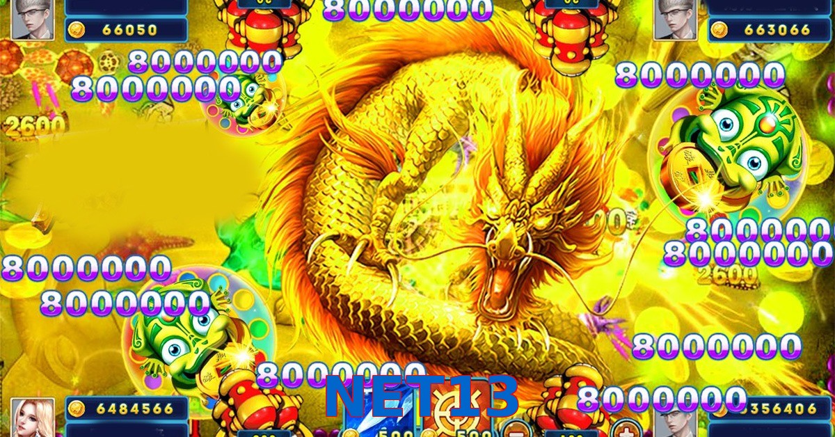 NET13