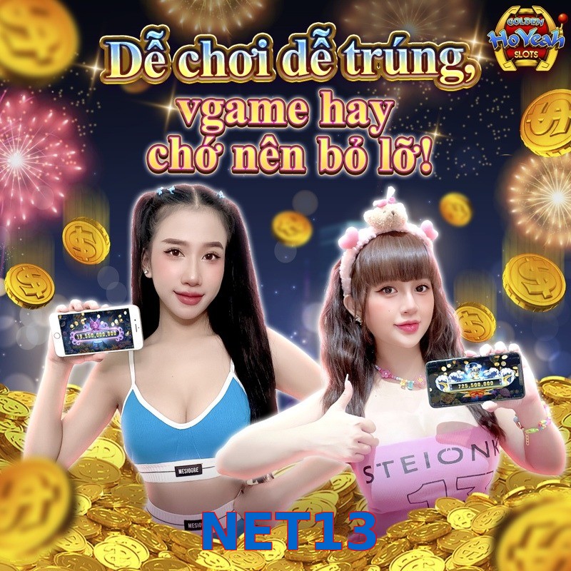 NET13