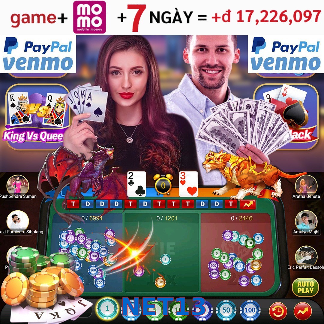NET13