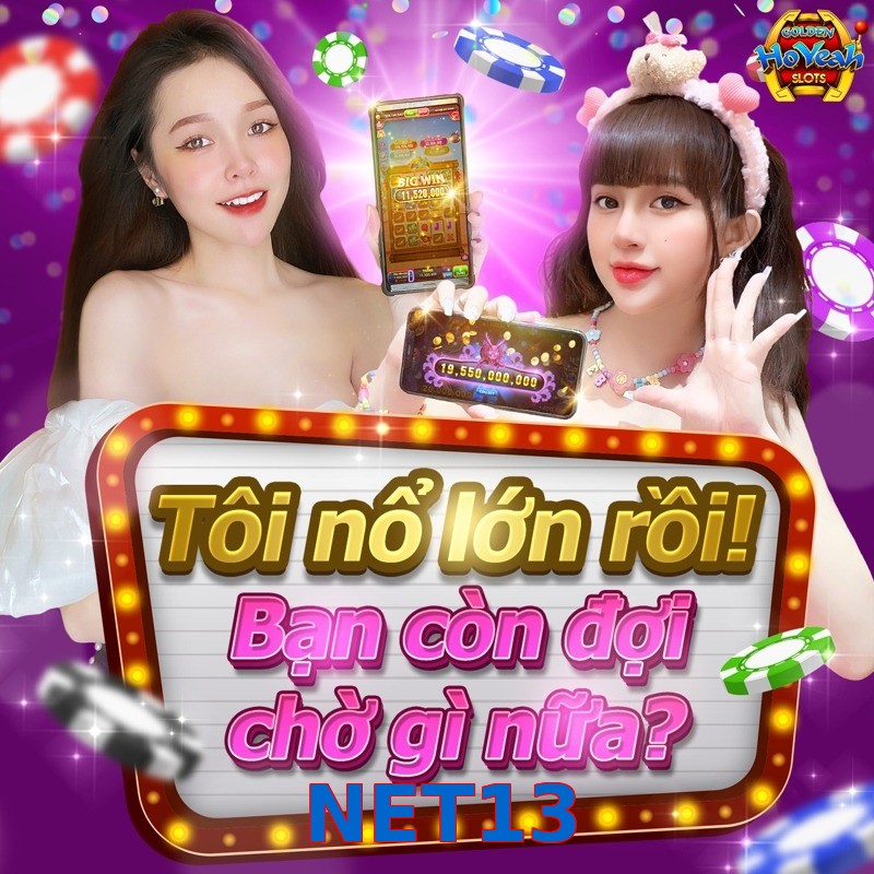 NET13