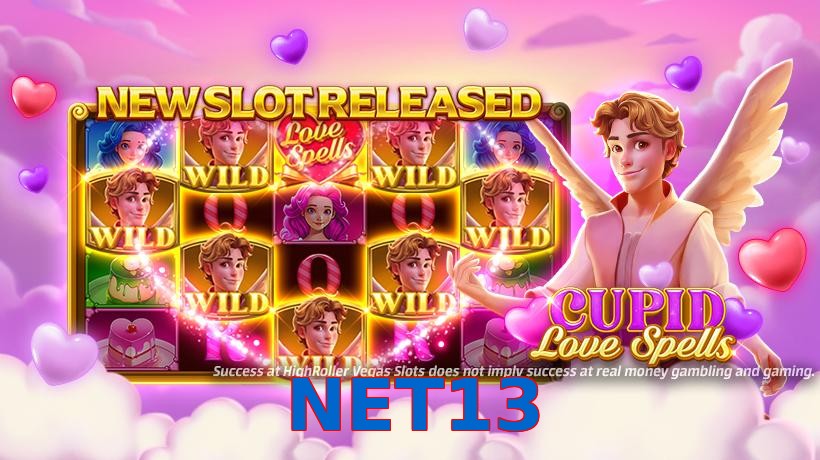 NET13