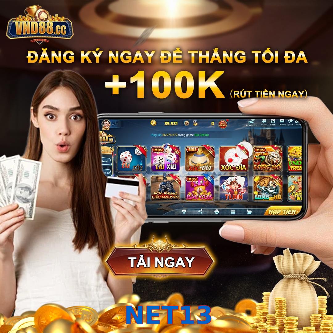 NET13