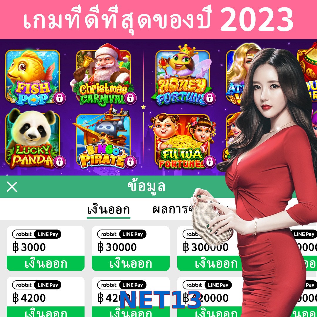 NET13