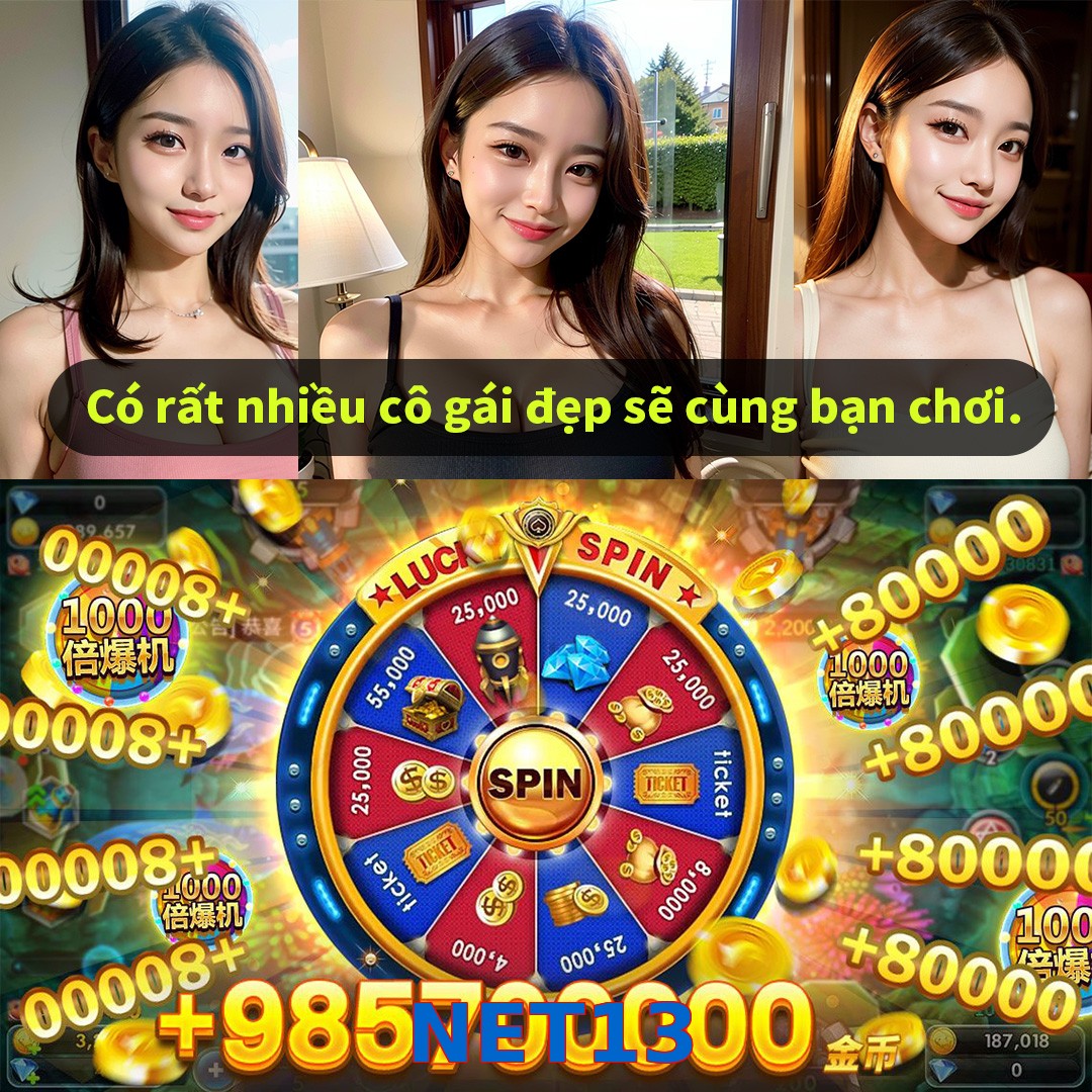 NET13