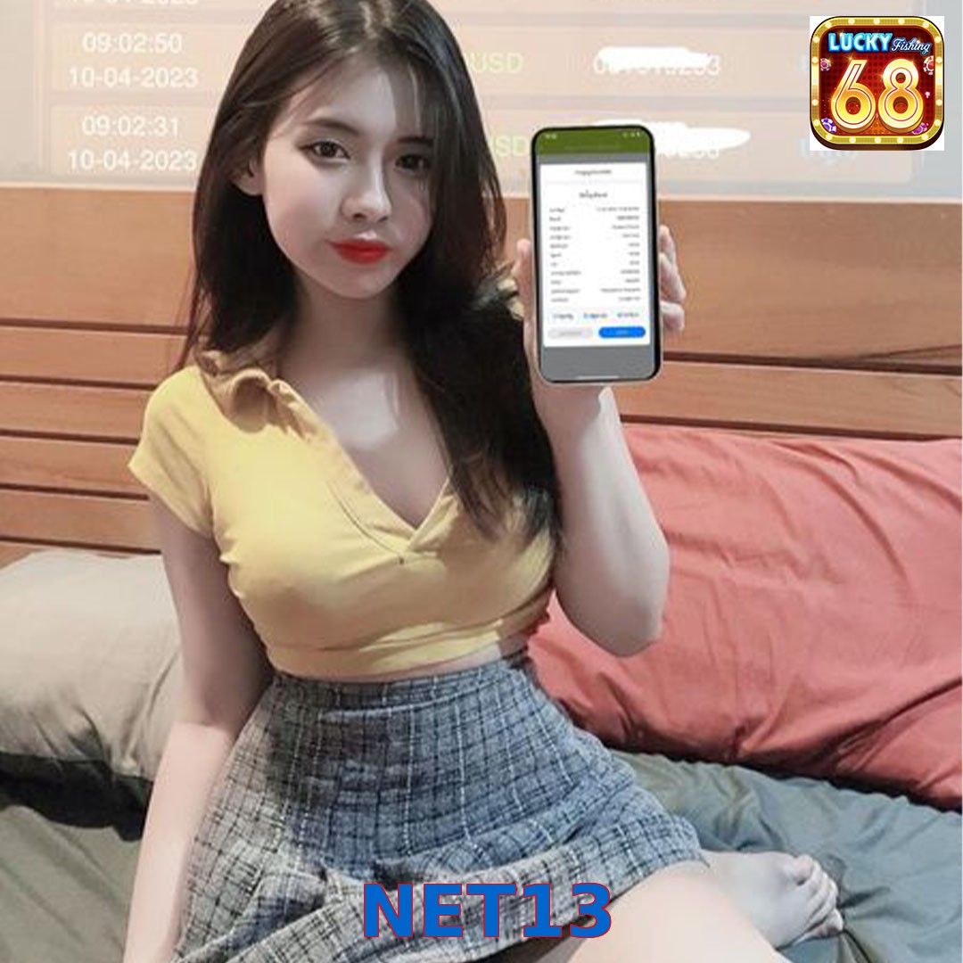 NET13