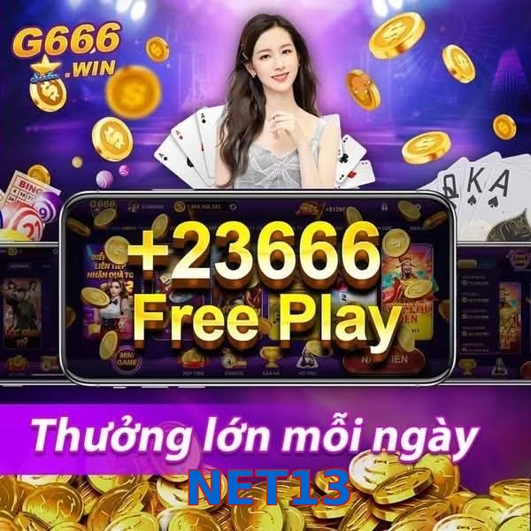 NET13