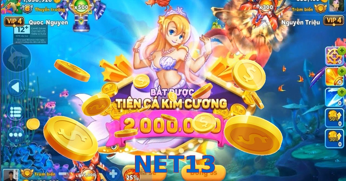 NET13