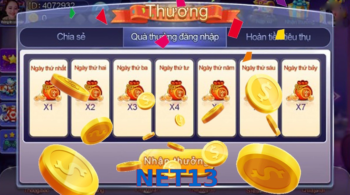 NET13