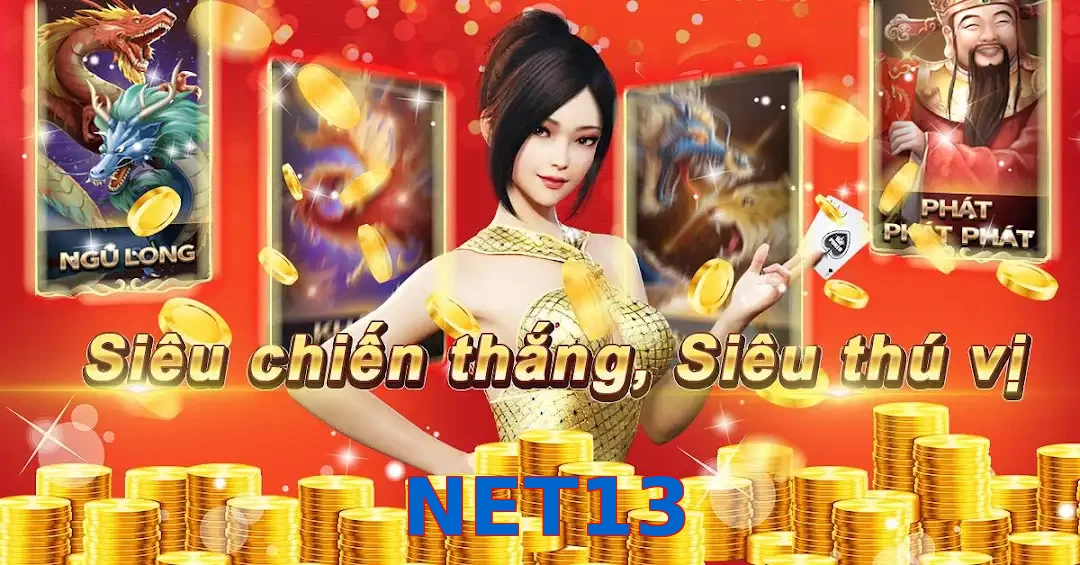 NET13