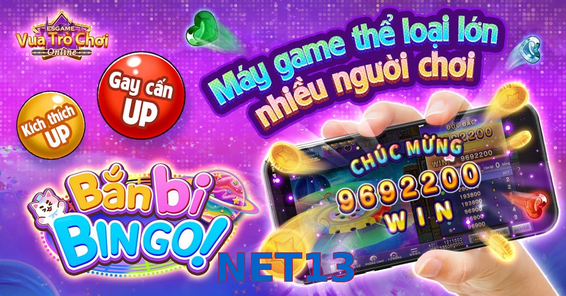 NET13