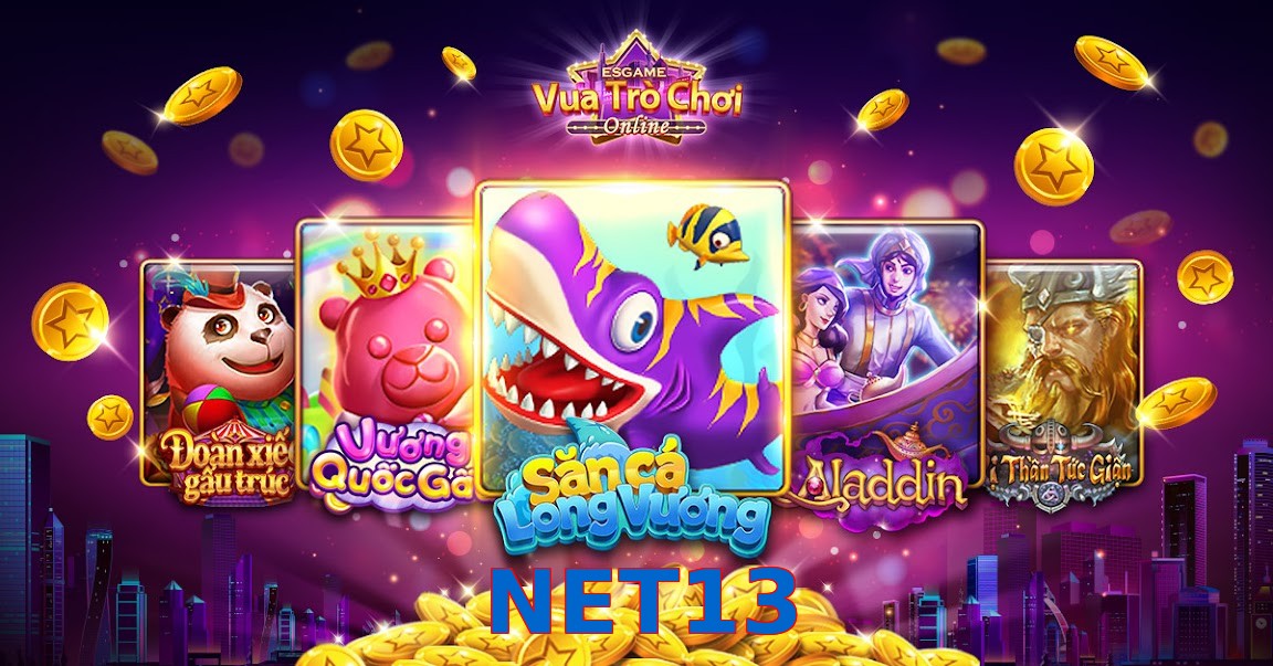 NET13