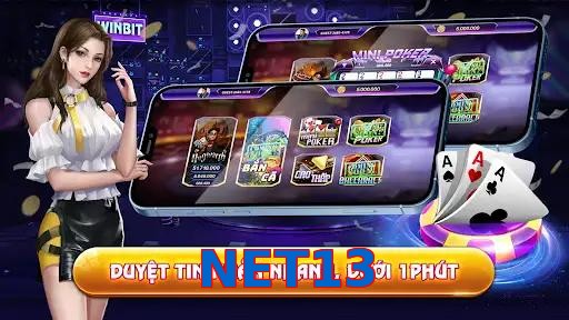 NET13