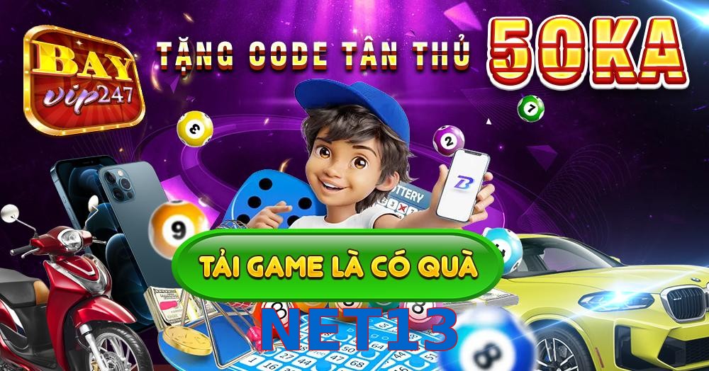 NET13
