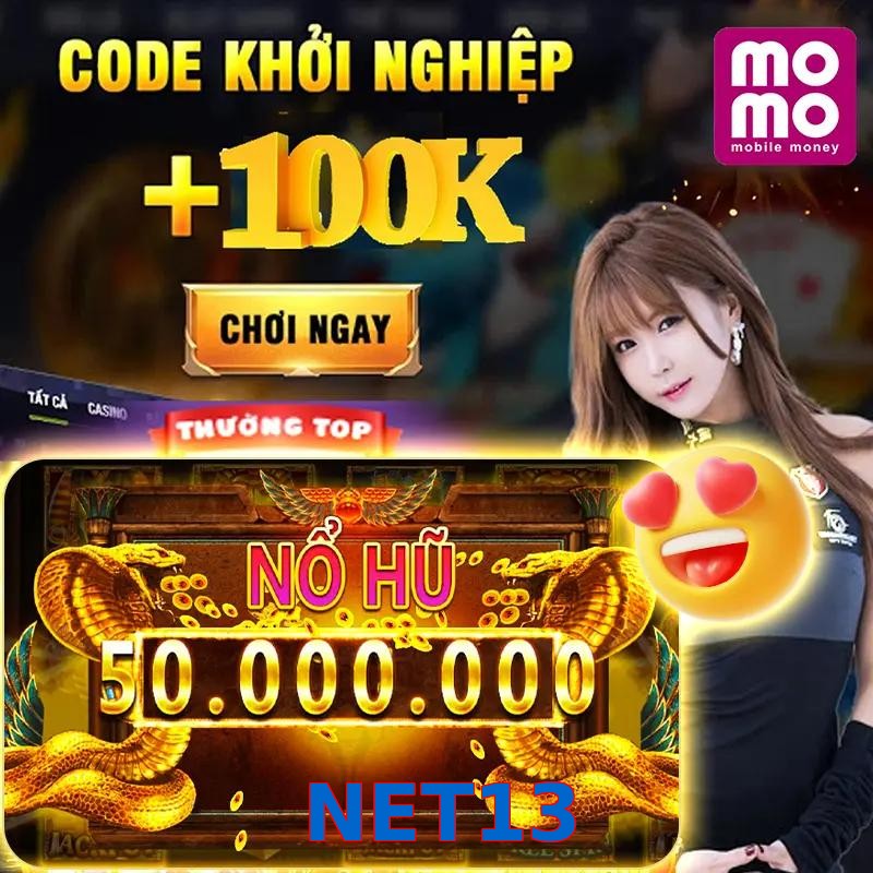 NET13