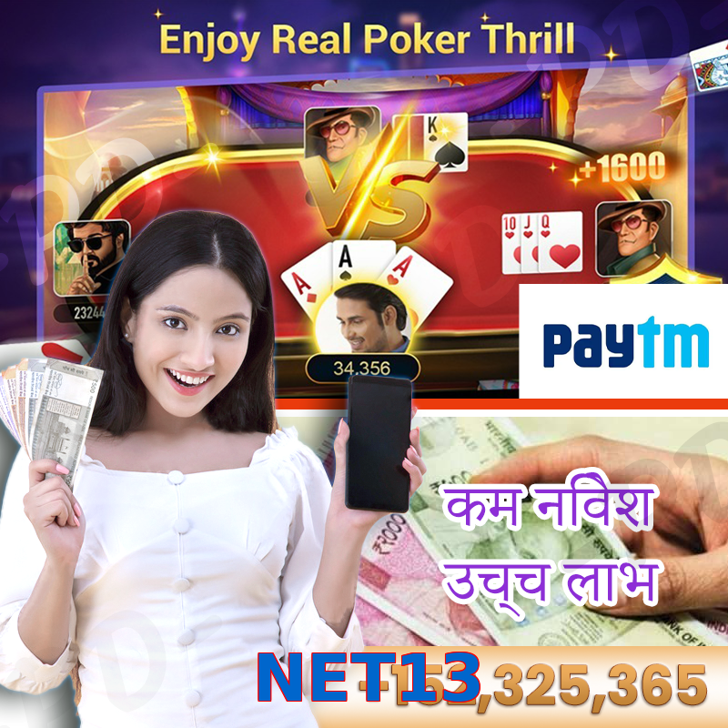 NET13
