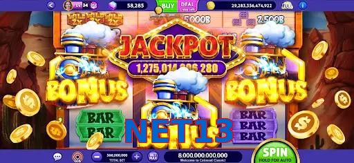 NET13