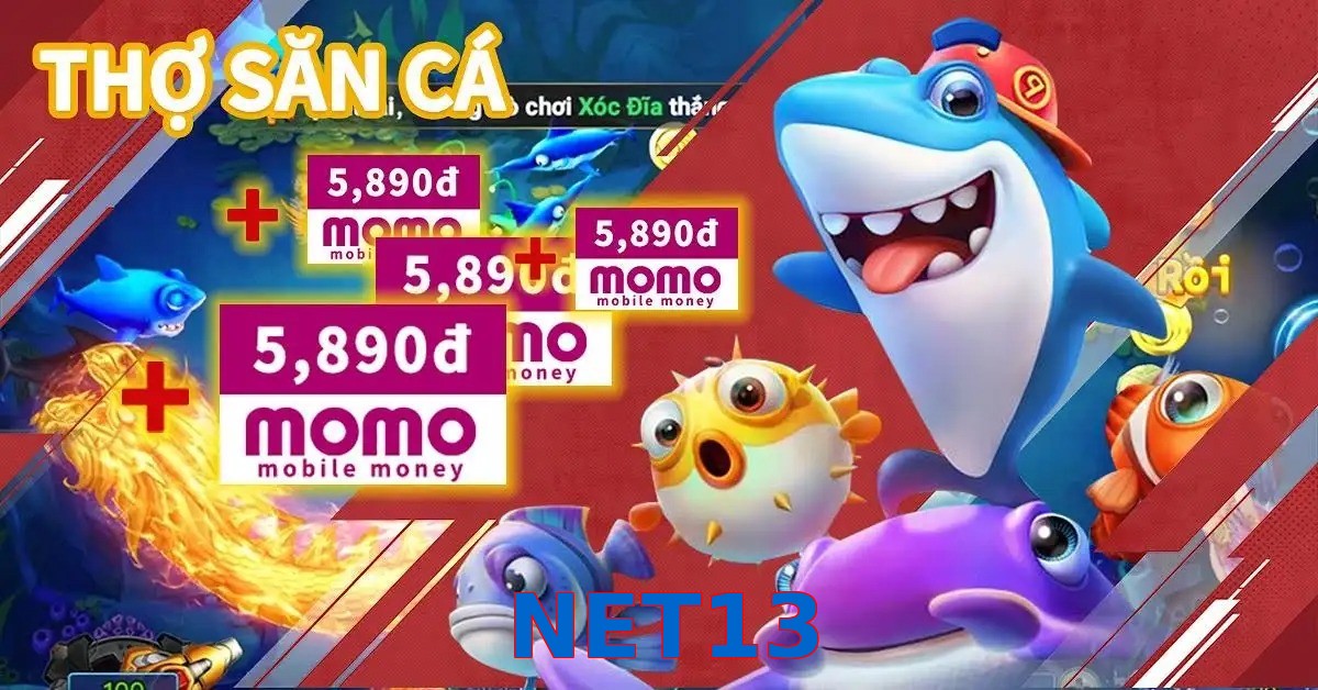 NET13