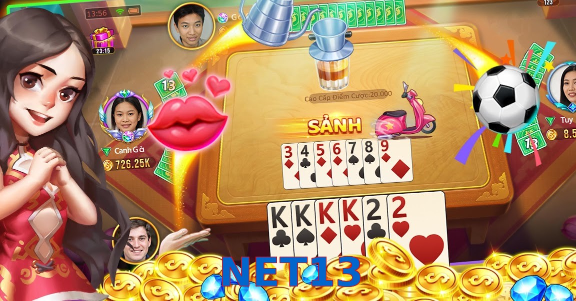 NET13