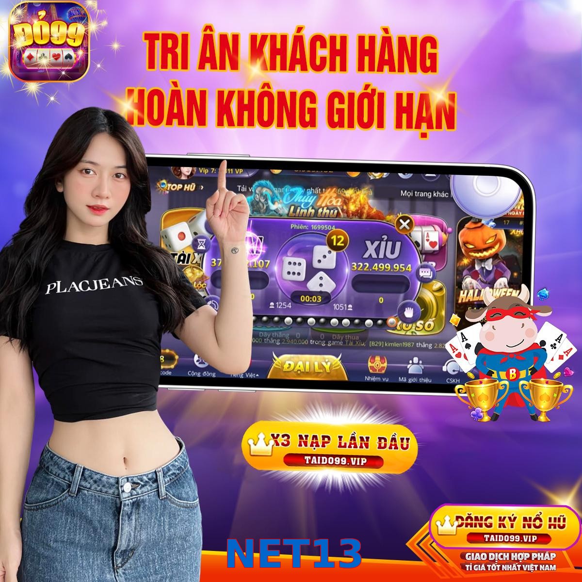 NET13