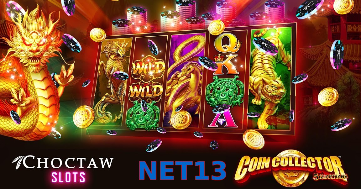 NET13