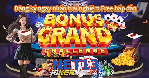 NET13