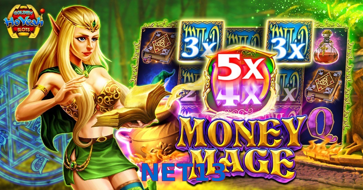 NET13