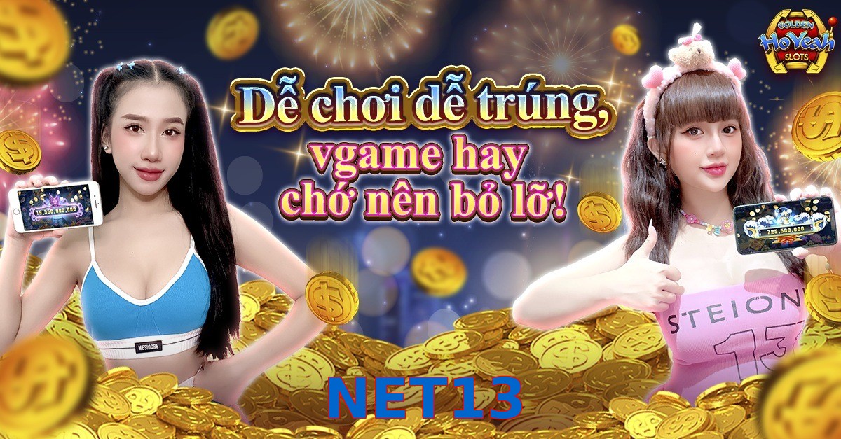 NET13
