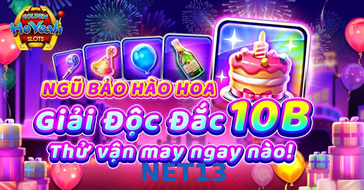 NET13