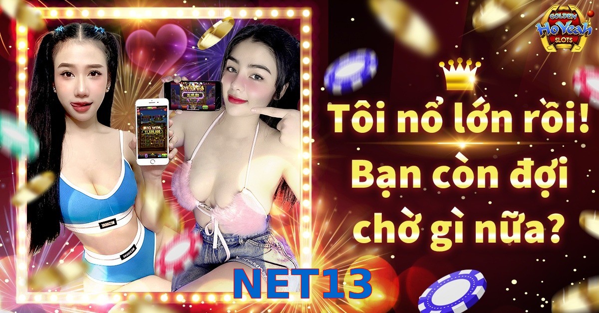 NET13
