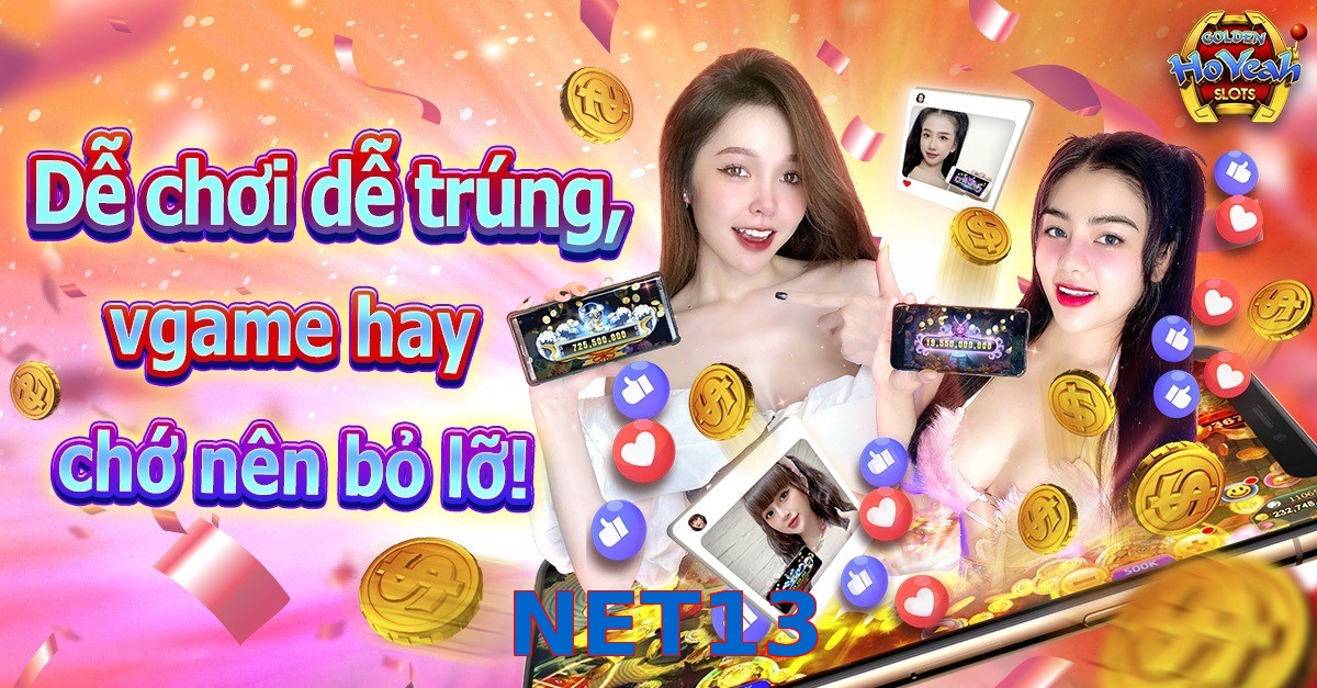 NET13