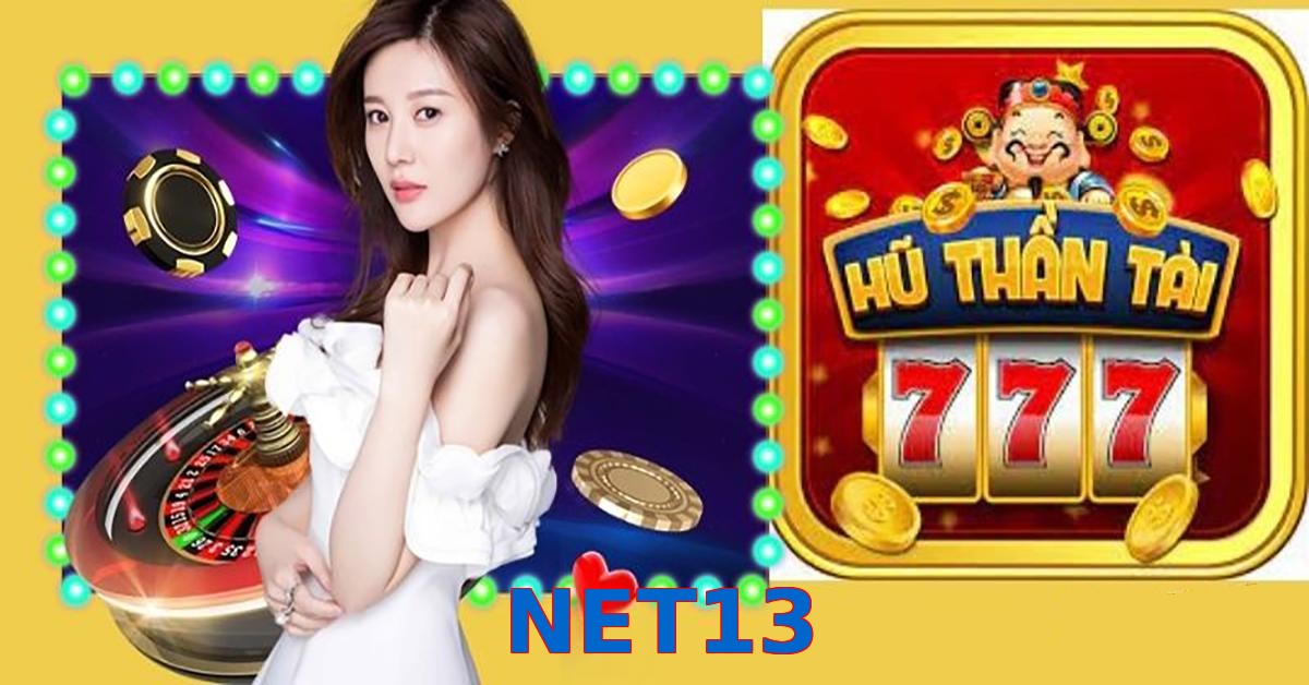 NET13
