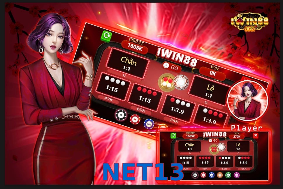NET13