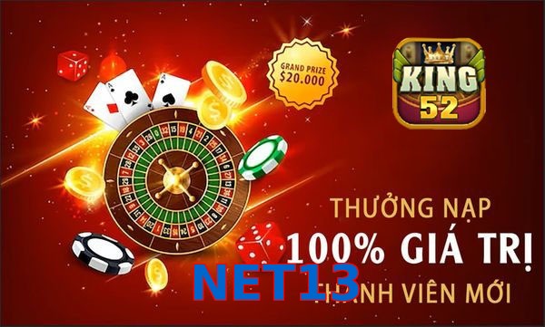 NET13