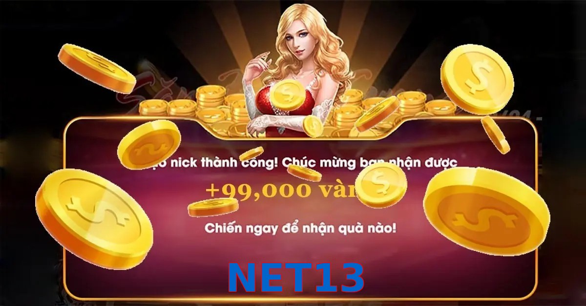 NET13