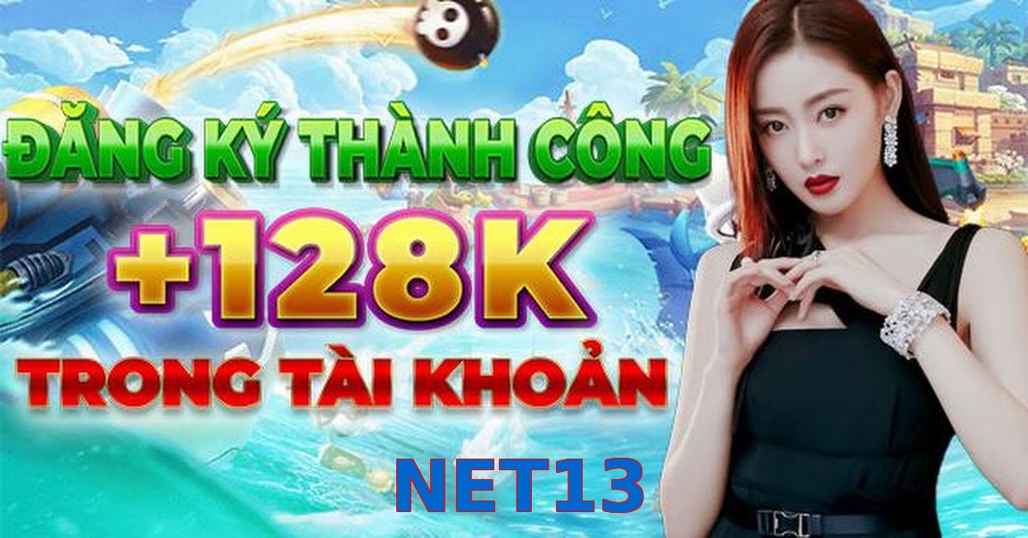 NET13