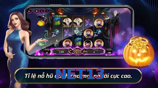 NET13