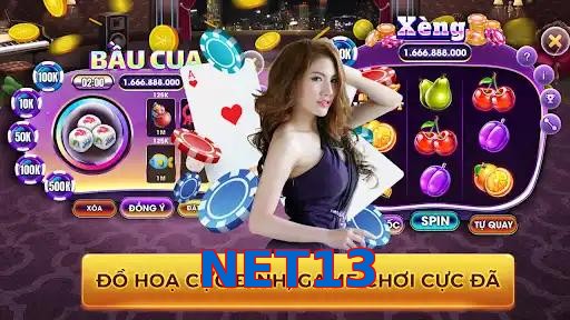 NET13