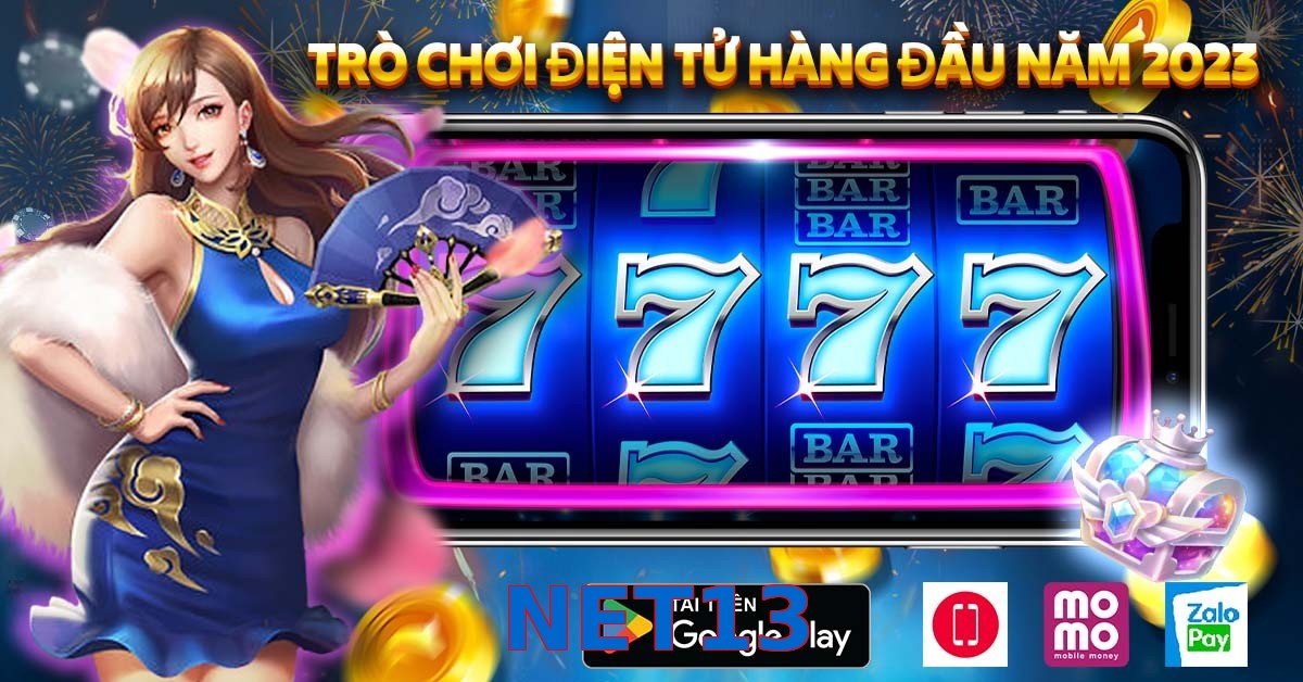 NET13