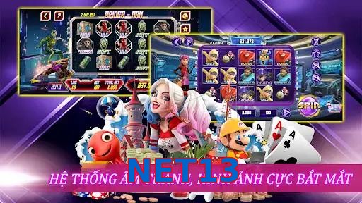 NET13