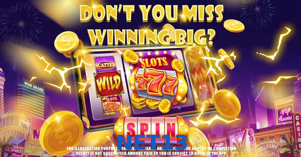 NET13