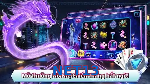 NET13