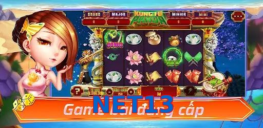 NET13